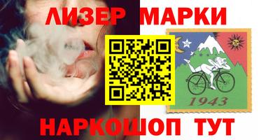 шишки Дубна