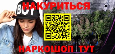 шишки Дубна