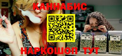 шишки Дубна