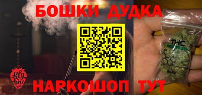 шишки Дубна