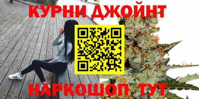 шишки Дубна
