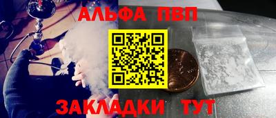 шишки Дубна