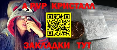 шишки Дубна