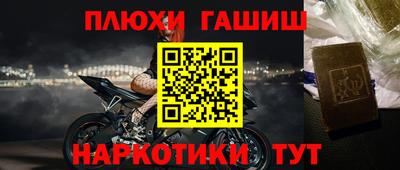 шишки Дубна