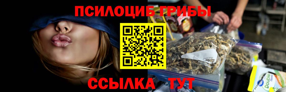 Галлюциногенные грибы Psilocybe Тюмень